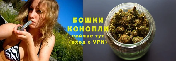 гидра Верея