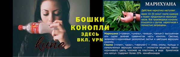шишки Верхний Тагил