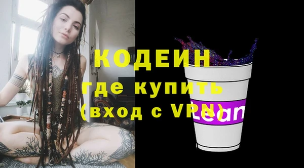шишки Верхний Тагил