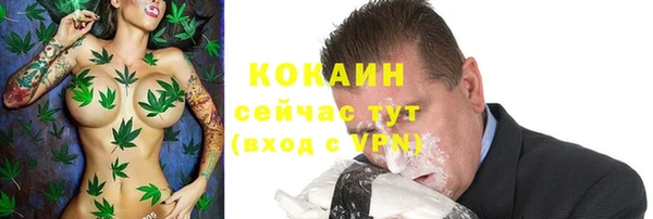 гидра Верея