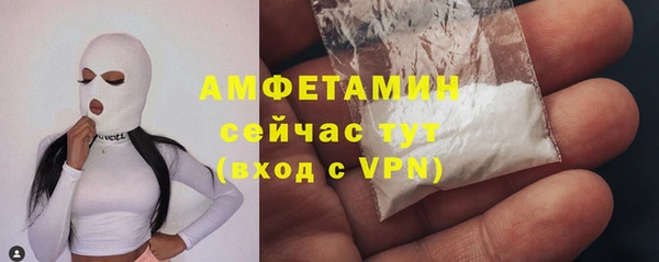 гидра Верея