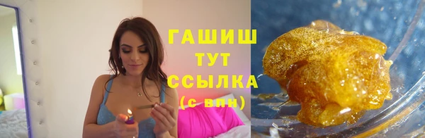 шишки Верхний Тагил