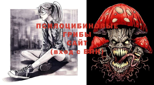 гидра Верея