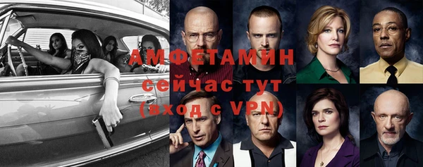 шишки Верхний Тагил