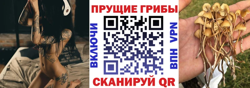 Галлюциногенные грибы ЛСД  наркотики  Лобня 